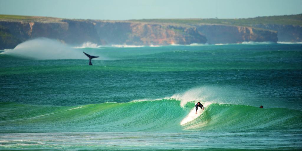 Warrnambool Motel And Holiday Park Luaran gambar